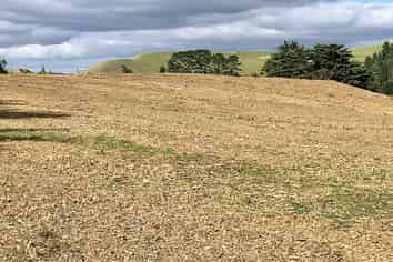 Auckland - Address withheld