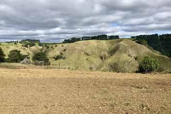 Auckland - Address withheld