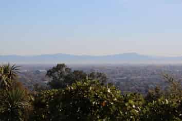 8 Lady Polson Lane, Cashmere