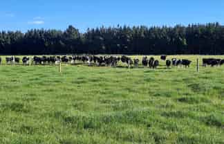 154 Orari Station Road, 