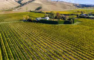 50 Cob Cottage Road, Riverlands