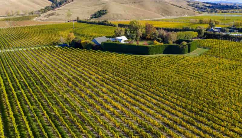 50 Cob Cottage Road, Riverlands