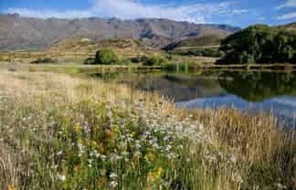  1037 Cromwell Luggate Road, Cromwell