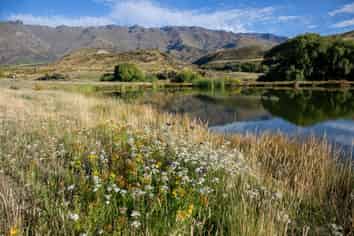  1037 Cromwell Luggate Road, Cromwell