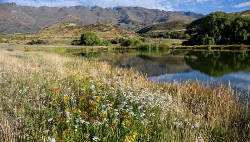  1037 Cromwell Luggate Road, Cromwell