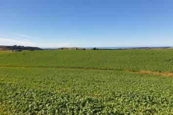 185 Mount Misery Road, Herbert