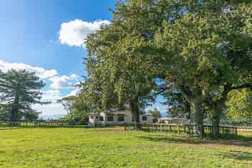 224A Waharoa Road East, Matamata