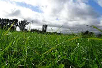  State Highway 2, Pahiatua