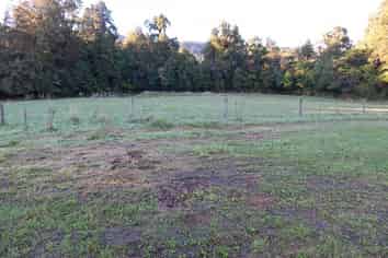 890 State Highway 67, Westport Surrounds