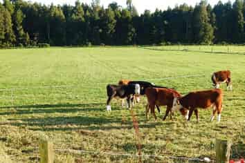 890 State Highway 67, Westport Surrounds