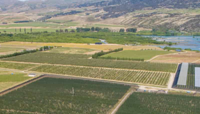 53 Gilmore Road, Cromwell