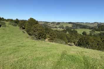 200 Central Road, Paparoa