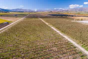  31 Gilmore Road, Cromwell