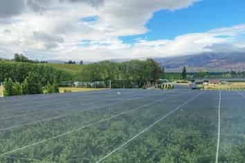 Lot 2, 156 Ripponvale Road, Cromwell