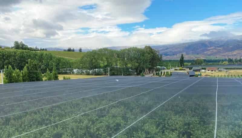 Lot 2, 156 Ripponvale Road, Cromwell