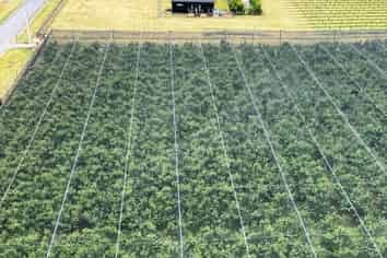 Lot 2, 156 Ripponvale Road, Cromwell