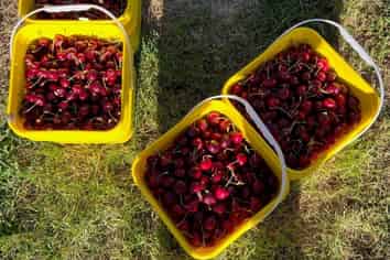 Lot 2, 156 Ripponvale Road, Cromwell