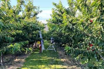 Lot 2, 156 Ripponvale Road, Cromwell