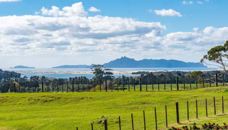 65a Tomarata Road, Mangawhai