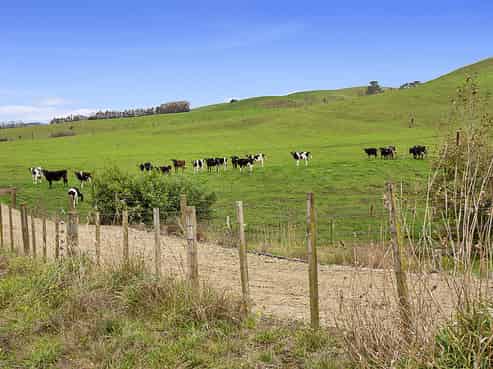 206 Pukekauri Road, Waihi