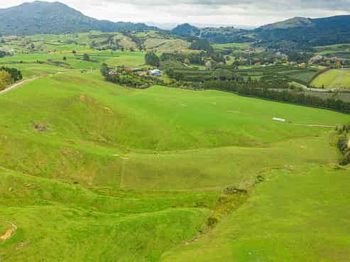 206 Pukekauri Road, Waihi