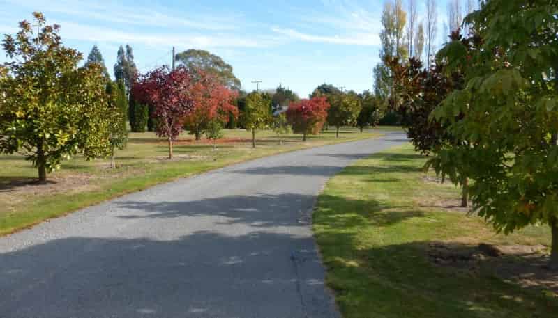 Lot 1 123 Albert Street, Ashburton