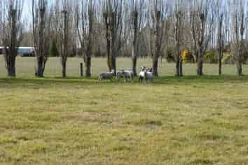 Lot 3 123 Albert Street, Ashburton