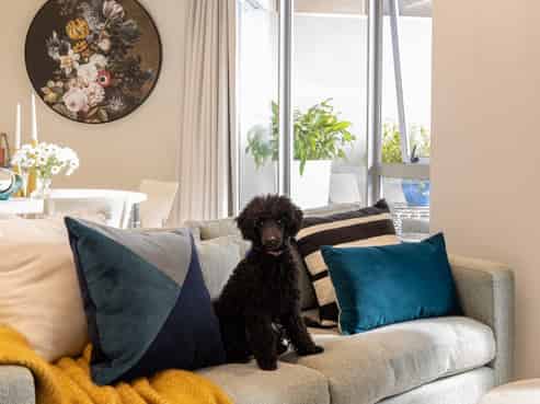 GD/16 Market Place, Auckland Central