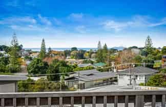 24a Homestead Road, Manly