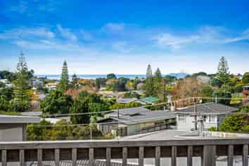 24a Homestead Road, Manly