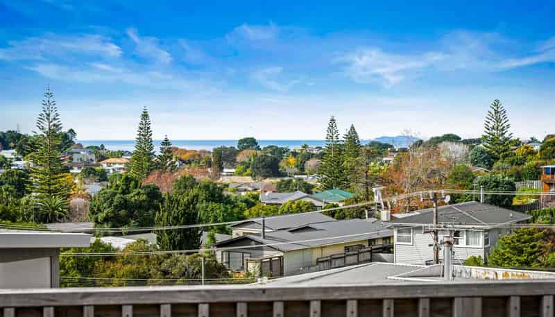24a Homestead Road, Manly