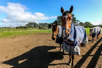 24 Waipapa Road, Waitara