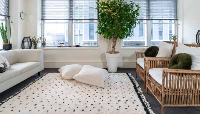 1E/123 Molesworth Street, 