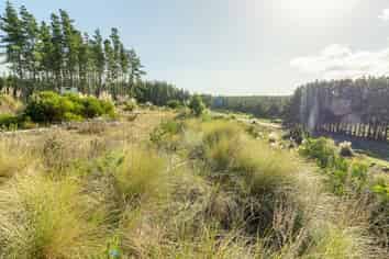 545 Himatangi Beach Road, Himatangi