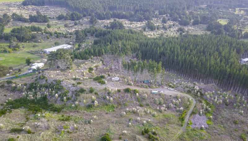 545 Himatangi Beach Road, Himatangi