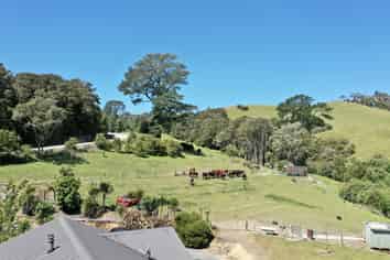 330 Stannard Road, Waerenga