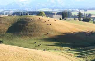  Downs Road, Geraldine