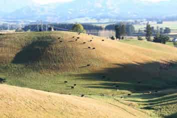  Downs Road, Geraldine