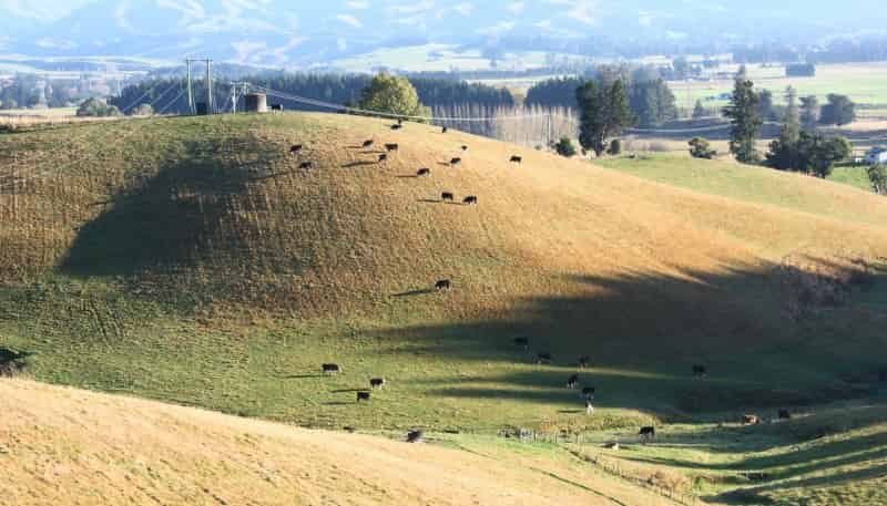  Downs Road, Geraldine