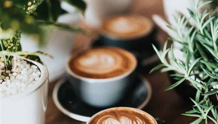 Daytime Cafe, Strowan