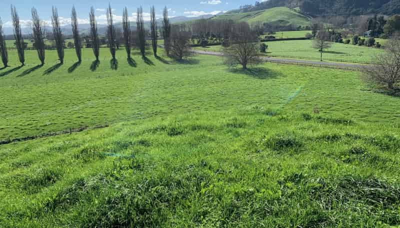 22 Hubbard Road, Paeroa