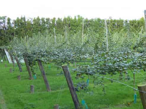 1818 Tairua Whitianga Road, Coromandel Surrounds