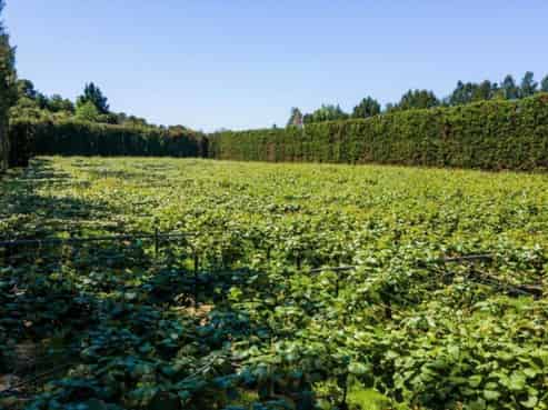 1818 Tairua Whitianga Road, Coromandel Surrounds