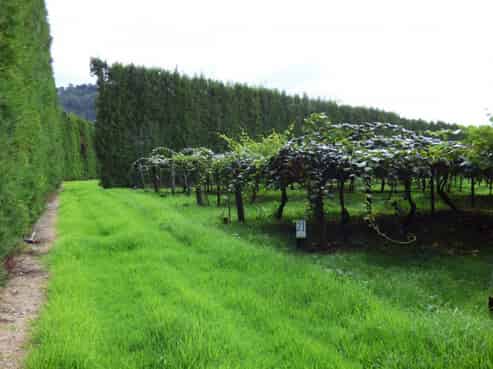 1818 Tairua Whitianga Road, Coromandel Surrounds