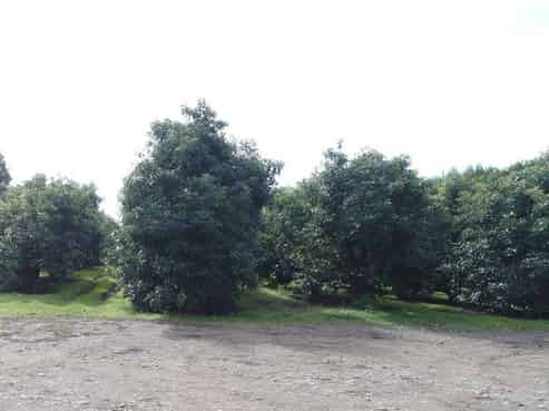 1818 Tairua Whitianga Road, Coromandel Surrounds