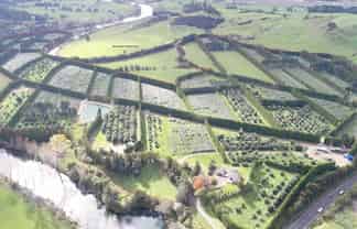 1818 Tairua Whitianga Road, Coromandel Surrounds