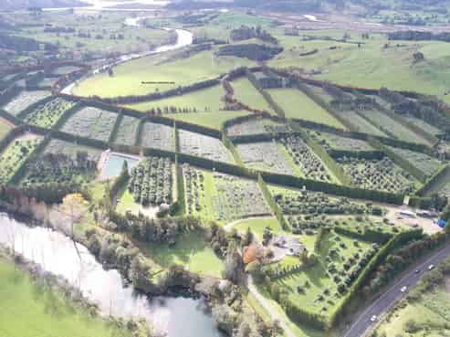 1818 Tairua Whitianga Road, Coromandel Surrounds