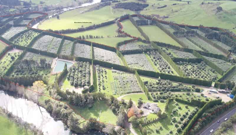 1818 Tairua Whitianga Road, Coromandel Surrounds