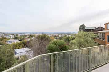 30 Maire Street, Tahunanui