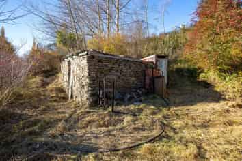 1391 Fruitlands-Roxburgh Road, Alexandra